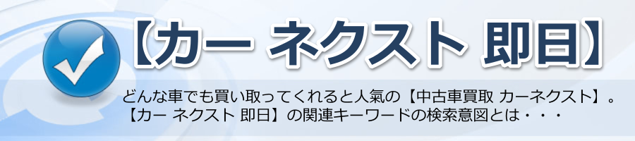 【カー ネクスト 即日】